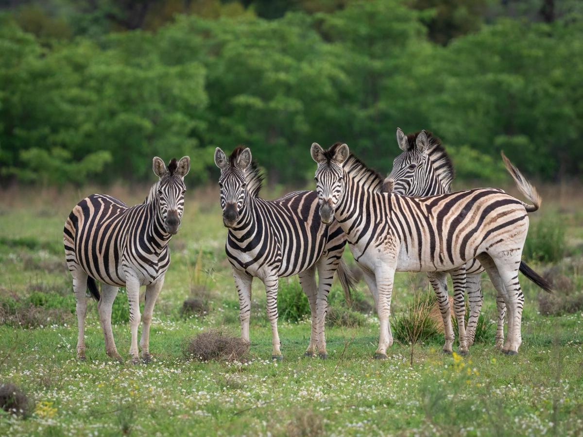 Sofala Lodge Mokopane Luaran gambar