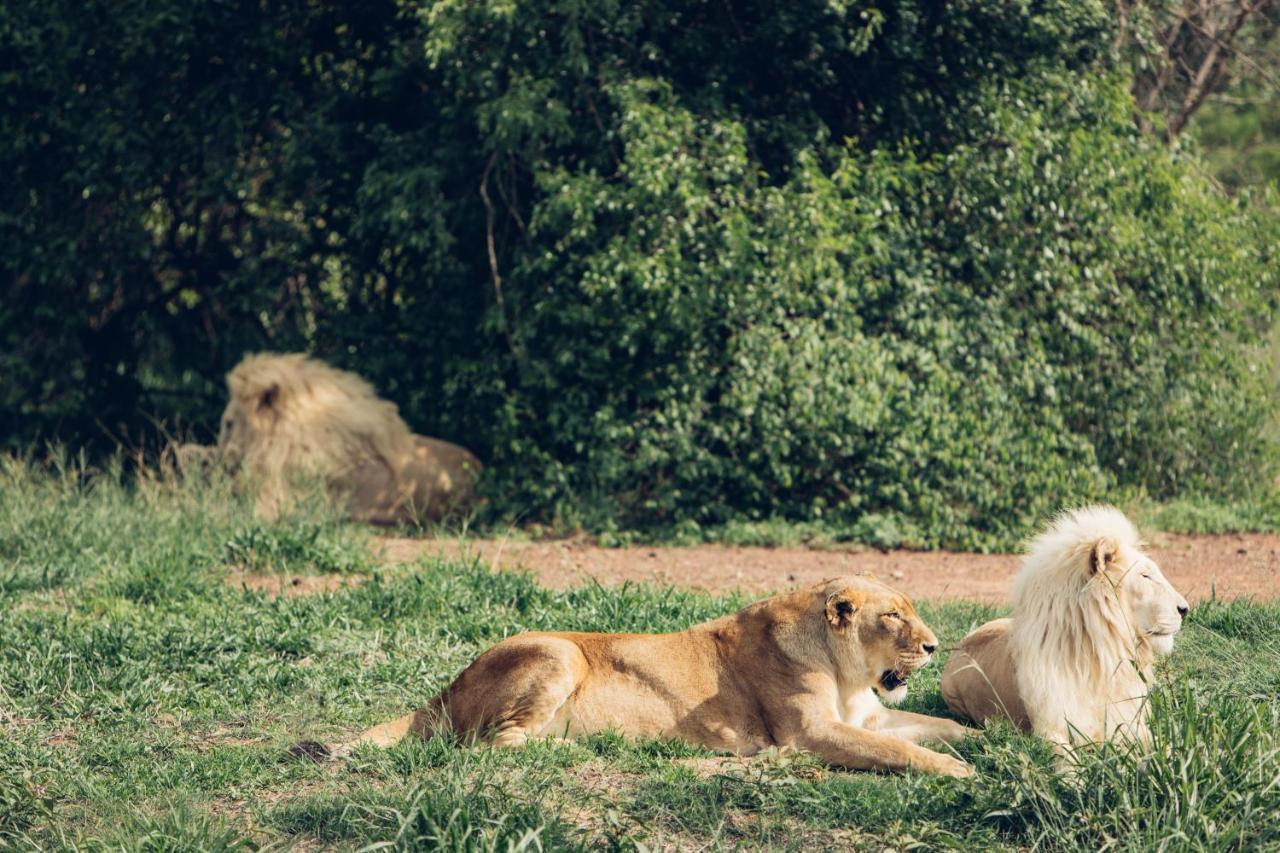 Sofala Lodge Mokopane Luaran gambar