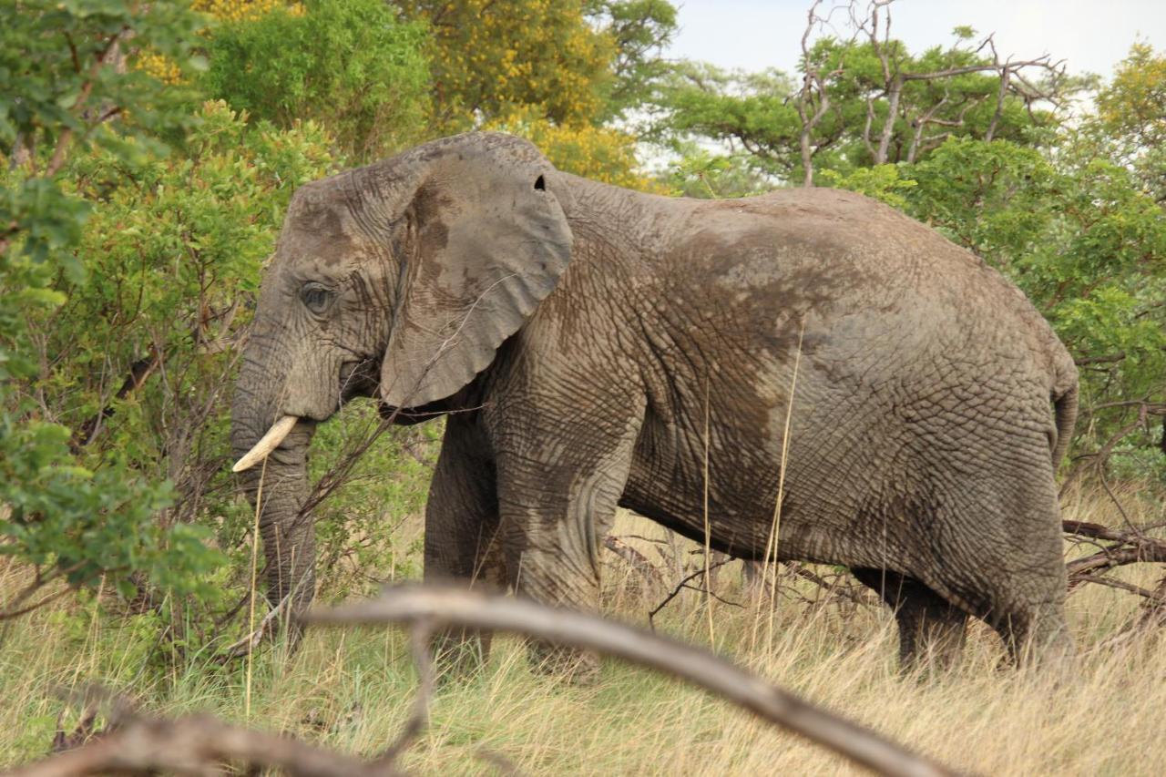 Sofala Lodge Mokopane Luaran gambar