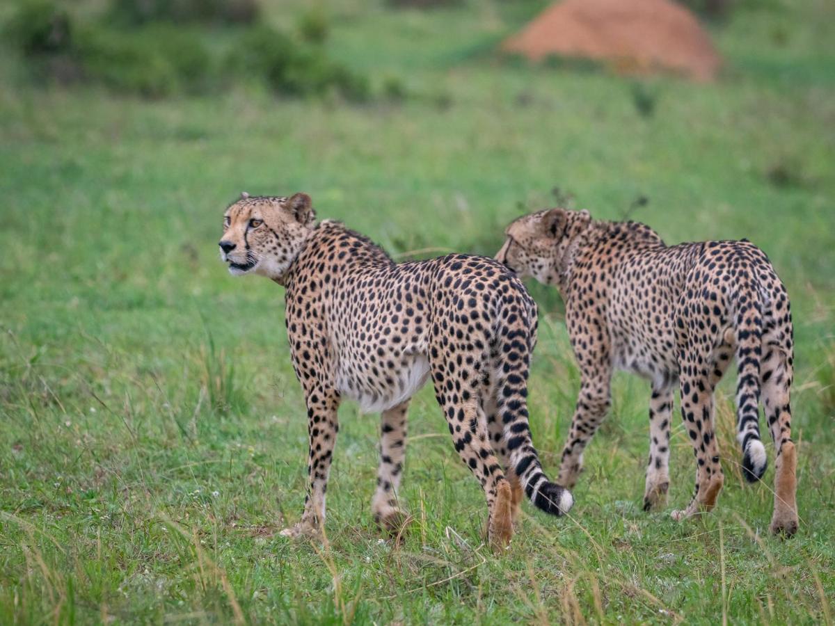 Sofala Lodge Mokopane Luaran gambar