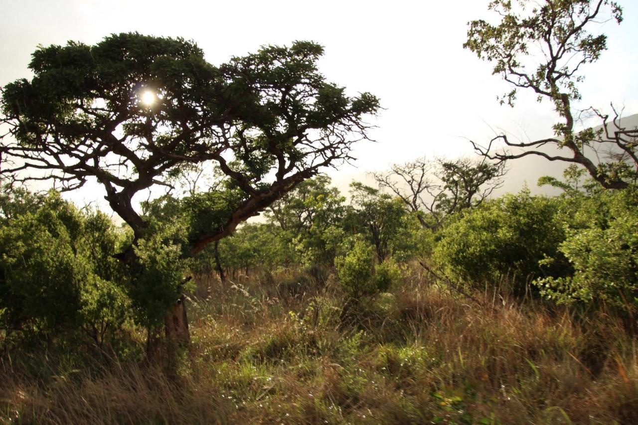 Sofala Lodge Mokopane Luaran gambar